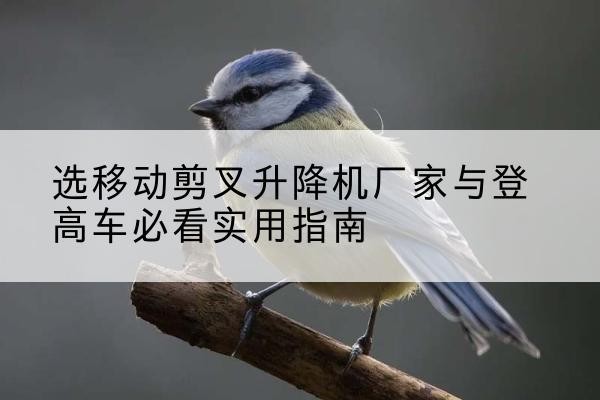 滕州电动升降机厂家-选移动剪叉升降机厂家与登高车必看实用指南