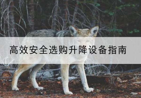 滕州升降货梯厂家推荐-*安全选购升降设备指南