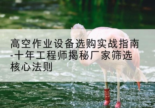 滕州剪叉式升降机厂家-高空作业设备选购实战指南-十年工程师揭秘厂家筛选核心法则